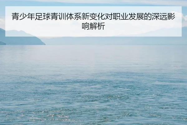 青少年足球青训体系新变化对职业发展的深远影响解析